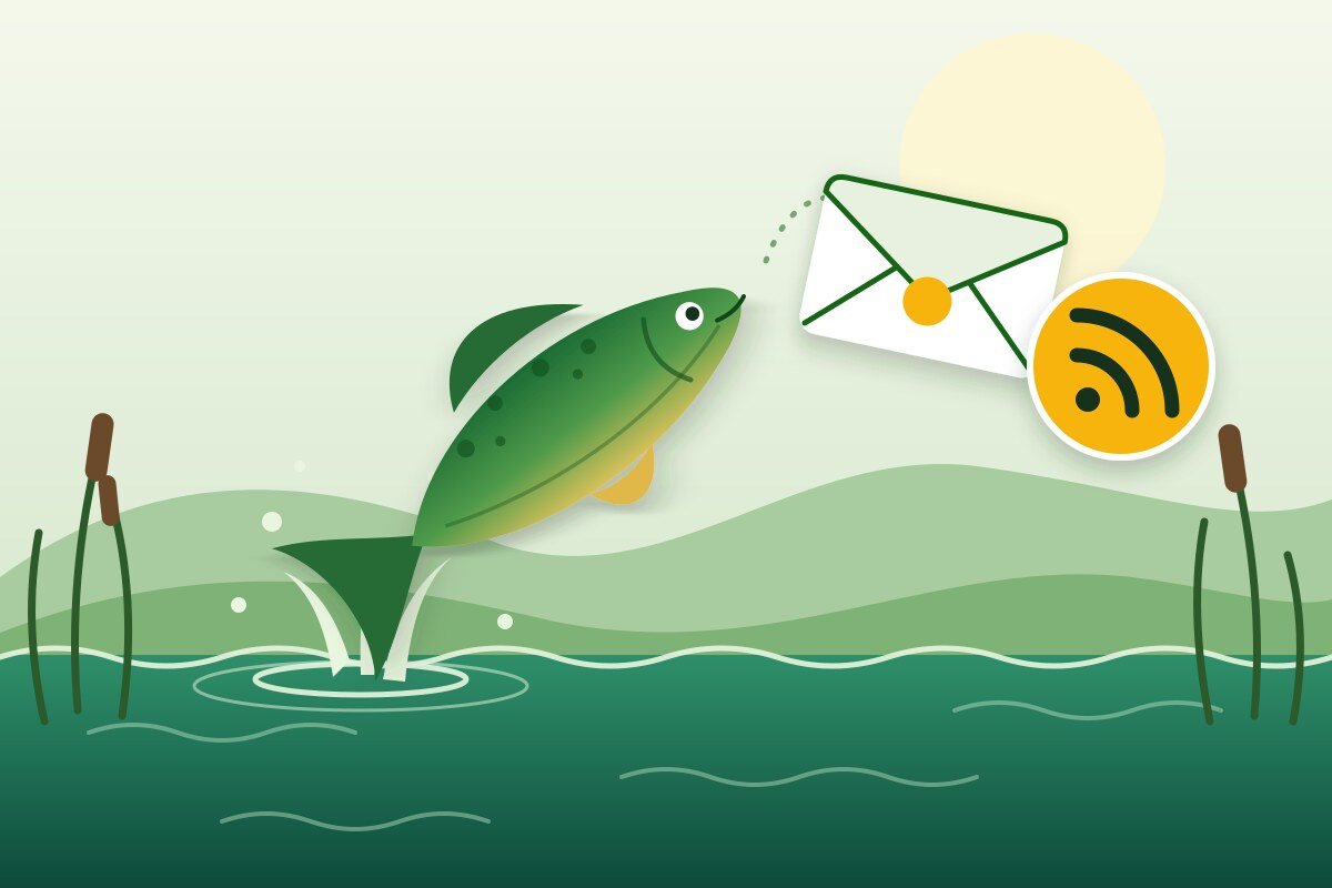 Illustration: Ein Fisch springt aus dem Fluss auf einen Briefumschlag und das orange RSS-Symbol zu